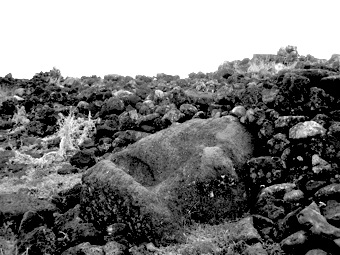 Visage de moaï abandonné ©AM Ducroux